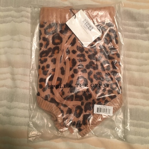 Spell Wildcat Shorts! - Picture 4 of 5